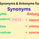 Synonyms meaning in Hindi | Synonyms meaning in English | Synonyms meaning in Marathi Check Now
